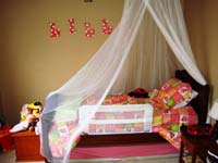 lillybed